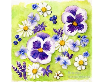 Pansies and Daisies fine art print floral 8x8 square