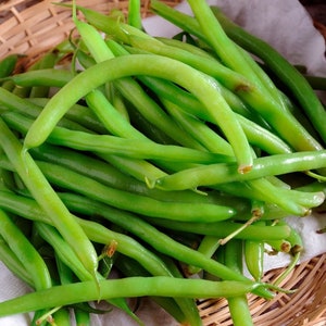 May include: A bunch of fresh green string beans in a woven basket. The beans are arranged in a pile, with some of them overlapping.