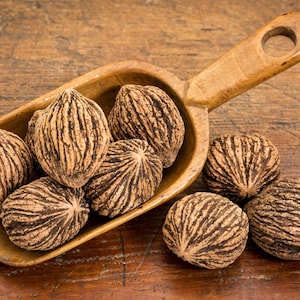 1 LB Black Walnut Tree Seeds – Fresh Harvested | Grow Nut Trees for Shade & Edible Nuts | Juglans Nigra Seeds for Planting Sold By the Pound
