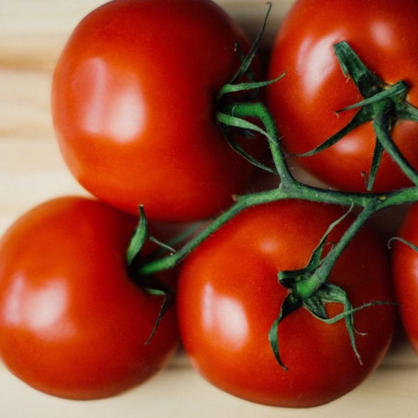 Better Boy Hybrid Tomato Seeds for Vegetable Garden 15 Seeds