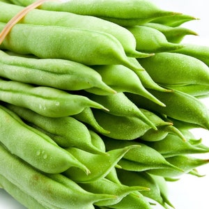 May include: A bunch of fresh green string beans tied together with a rubber band.