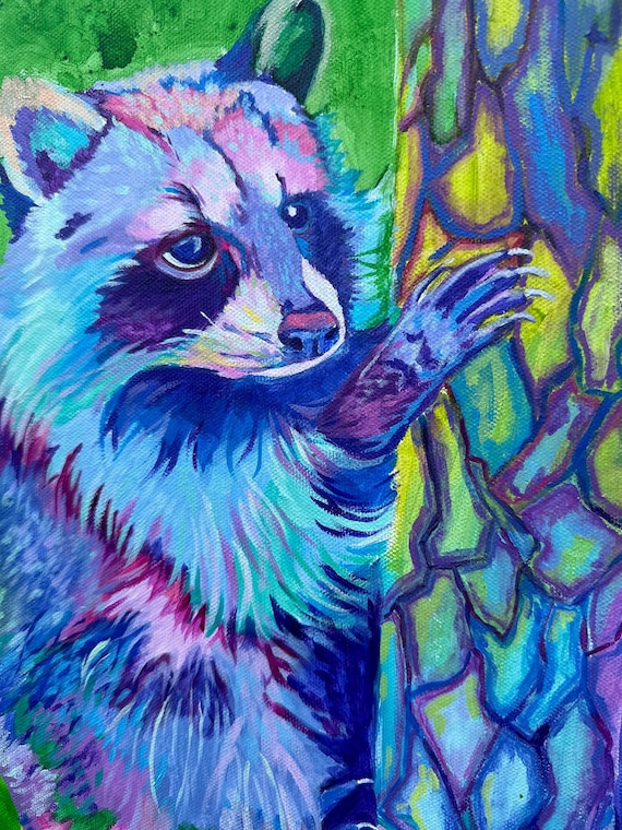 Abstract Racoon Raccoon Abstract Art