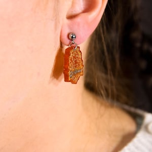 Lion House Resin Hypoallergenic Earrings