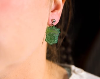 Snake House Resin Hypoallergenic Earrings