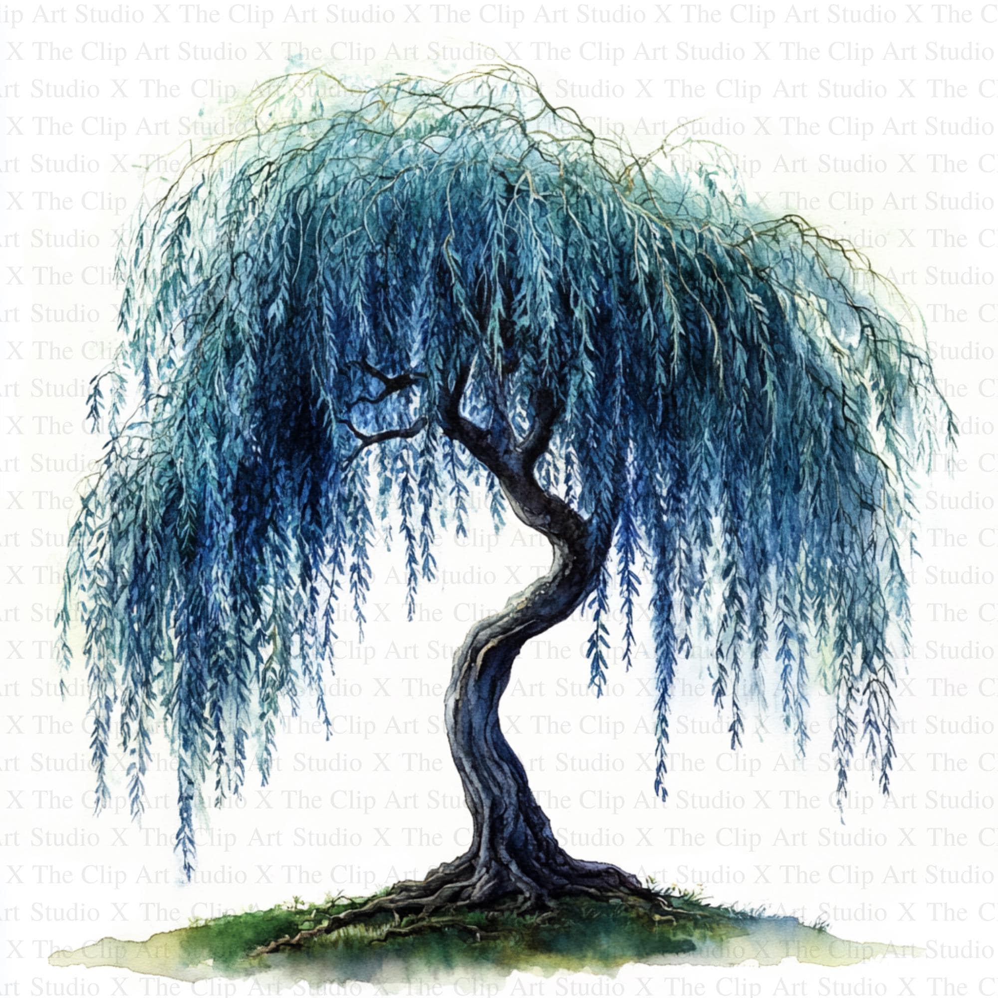 Willow Trees Clipart | 10 High Quality Jpgs | Digital Download