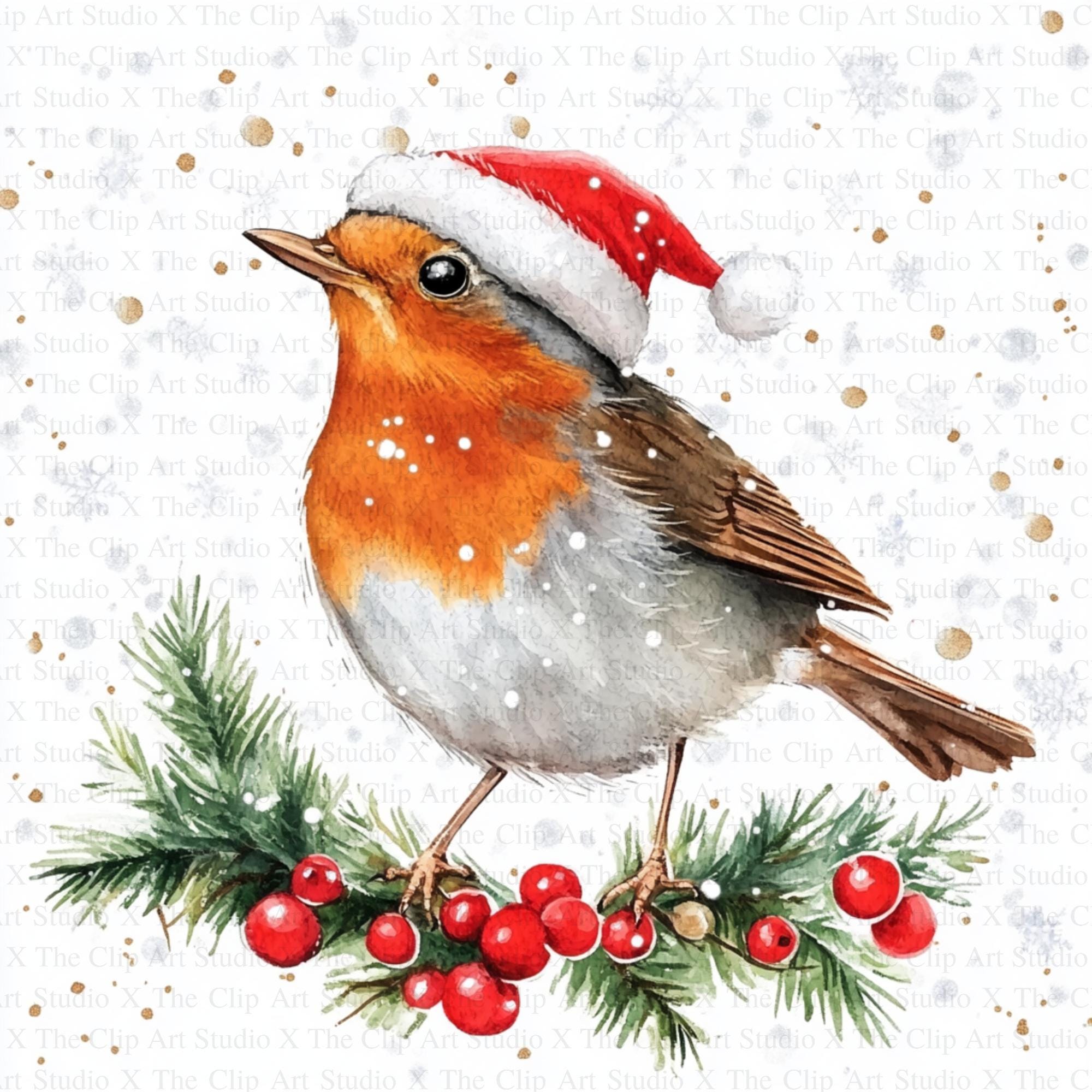 Christmas Robin Clipart | 10 High Quality Jpgs | Digital Download ...
