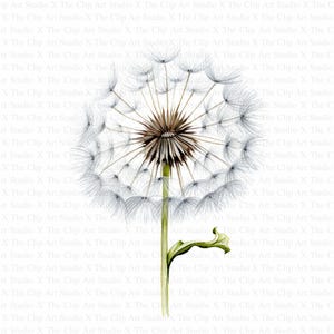 Abstrakcyjny Clipart Mniszka Lekarskiego | 10 Wysokiej Jakości JPG | Pobieranie Cyfrowe | Dziennik Śmieciowy | Wydruk Mniszka Lekarskiego | Clipart Akwarela | Rękodzieło Papierowe