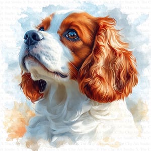 Imágenes prediseñadas de Cavalier King Charles Spaniel / 10 archivos JPG de alta calidad / Descarga digital / Arte infantil / Creación de tarjetas / Imágenes prediseñadas de animales lindos / Imágenes prediseñadas