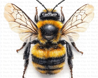 Imágenes prediseñadas de abejas zumbadoras / 10 archivos JPG de alta calidad / Descarga digital / Scrapbooking / Fabricación de tarjetas / Imágenes prediseñadas de abejas / Manualidades con papel digital / Clip Art