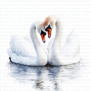 Schwan Paar Clipart | 10 hochwertige JPGs | Digitaler Download | Aquarell Clipart | Digitales Papiermodell | Junk Journal, Romantische Liebesschwäne