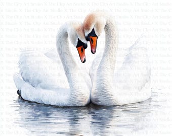 Swan Couple Clipart | 10 High Quality Jpgs | Digital Download