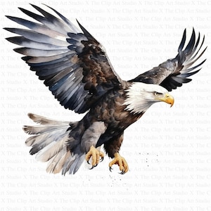 Clipart adelaar | 10 JPG's van hoge kwaliteit | Digitale download | Plakboeken | Afdrukbare aquarel clipart | Papiermodellen | Ongewenste tijdschriften, clipart
