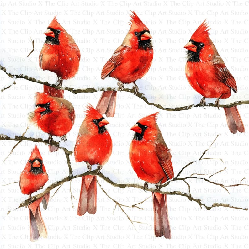 Winter Red Cardinals Clipart | 10 High Quality Jpgs | Digital Download ...