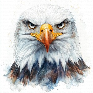 Eagle Clipart | 10 High Quality JPG | Digital Download | Digital Paper Craft | Junk Journals | Bald Eagle | Printable Watercolor Clipart