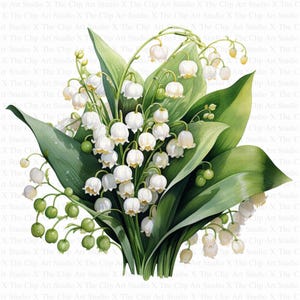 Clipart di bouquet di mughetti / JPG di alta qualità / Download digitale istantaneo / Lavoretti di carta / Diario spazzatura / Clipart acquerello stampabile