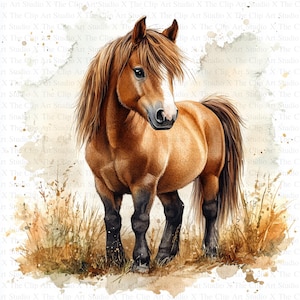 Imágenes prediseñadas de pony / 10 archivos JPG de alta calidad / Descarga digital / Scrapbooking / Arte infantil / Fabricación de tarjetas / Impresión de pony lindo / Manualidades con papel digital