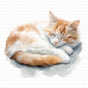 Sleeping Cat Clipart | 10 High Quality JPGs | Instant Digital Download | Paper Craft | Junk Journals | Cozy Cat Clipart | Watercolor Clipart