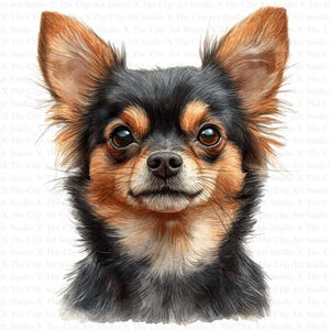 Chihuahua Clipart | 10 hochwertige JPGs | Digitaler Download | Kartengestaltung | Niedliche Tier Clipart | Papiermodelle | Scrapbooking | Gärtnerische Kunst