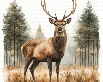 Cervo rosso nella foresta Clipart / 10 JPG di alta qualità / Download digitale / Lavori di carta / Diario spazzatura / Clip art / Clipart acquerello stampabile