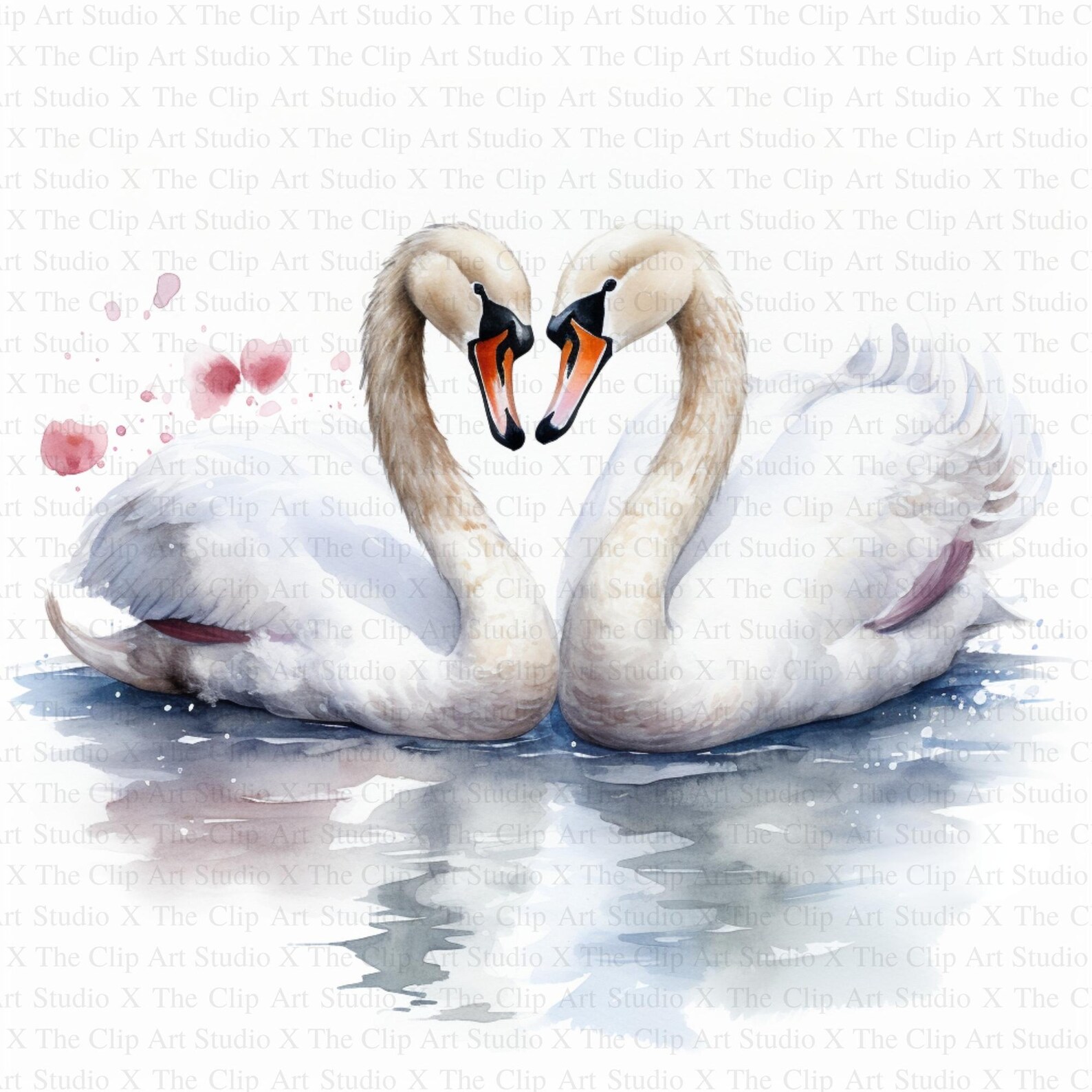 Swan Couple Clipart | 10 High Quality Jpgs | Digital Download | Digital ...