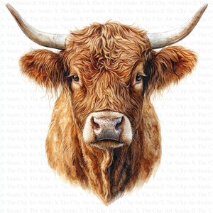 Highland Cow Farm Clipart | 10 High Quality JPGs | Digital download | Farm Clipart | Watercolor Clipart, Digital Paper Craft, Junk Journals
