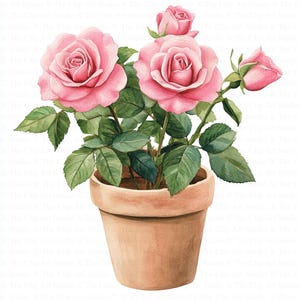 Pink Roses in Pot Clipart | 10 High Quality JPGs | Digital Download | Paper Craft | Junk Journals | Art | Roses Bouquet | Watercolor Clipart