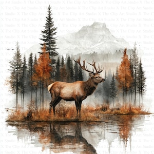 Rotwild im Wald Clipart | 10 hochwertige JPGs | Digitaler Download | Druckbare Aquarell Clipart | Papierhandwerk | Junk Journal | Clip-Kunst