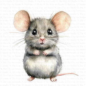 Schattige muis-clipart | 10 JPG's van hoge kwaliteit | Directe digitale download | Kaarten maken | Digitaal papiermodel | Aquarel schilderij | Kwekerijkunst