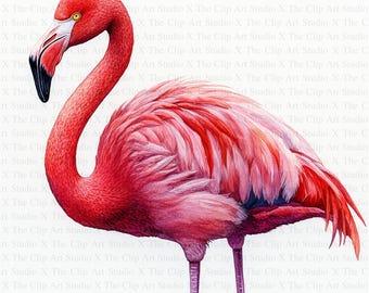 Flamingo Clipart | 10 High Quality JPGs | Digital Download | Flamingo Print | Digital Paper Craft | Nursery Art | Card Making | Clip Art