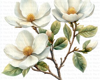 Magnolia Branches Clipart | 10 High Quality JPGs | Instant Digital Download | Botanical Art | Card Making | Journaling | Digital Paper Craft
