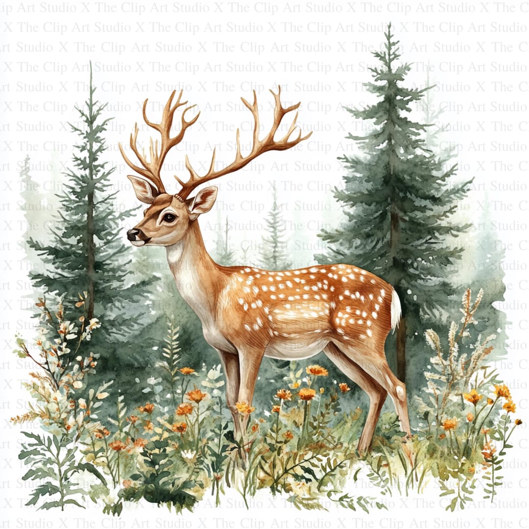Deer in a Forest Clipart | 10 High Quality Jpgs | Instant Digital ...