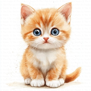 Imágenes prediseñadas de gatitos / 10 archivos JPG de alta calidad / Descarga digital / Imágenes prediseñadas de acuarela imprimibles / Manualidades de papel digitales / Revistas basura / Imágenes prediseñadas de gatos