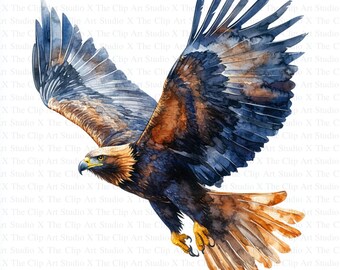 Clipart Aigle royal 10 fichiers JPG de haute qualité