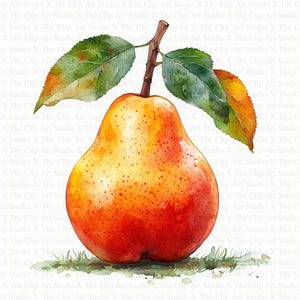 Clipart di pere ad acquerello / 10 JPG di alta qualità / Download digitale / Creazione di biglietti / Artigianato di carta digitale / Scrapbooking / Arte per bambini / Clipart