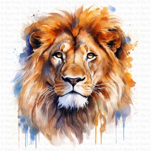 May include: A watercolor painting of a lion's face with a blue and orange background. The lion has a thick mane and a serious expression.