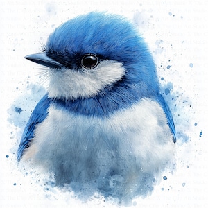 Oiseau mésange bleue | 10 fichiers JPG de haute qualité | Téléchargement numérique | Créations en papier | Revues | Mésange bleue d'Eurasie | Clipart aquarelle imprimable