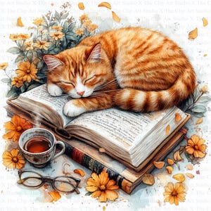Chat dormant sur des livres | 10 fichiers JPG de haute qualité | Téléchargement numérique | Créations numériques en papier | Technique mixte | Fabrication de cartes | Clipart chat mignon