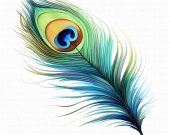 Peacock Feather Clipart | 10 High Quality JPGs | Digital Download | Paper Craft | Junk Journal | Art | Gorgeous Peacock | Watercolor Clipart