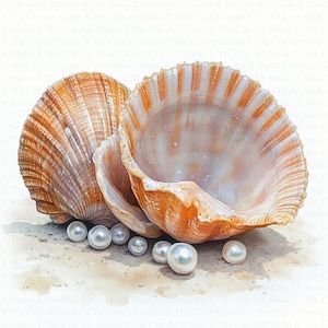 Seashells Pearls Clipart | 10 High Quality JPGs | Digital Download | Watercolor Clipart | Paper Craft | Junk Journal | Scrapbooking | Art