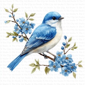 Imágenes prediseñadas de pájaros azules de Delft / 10 archivos JPG de alta calidad / Descarga digital / Azulejo holandés / Ilustración vintage / Imágenes prediseñadas de pájaros / Manualidades de papel digitales