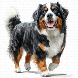 Bernese Clipart | 10 High Quality JPGs | Digital Download | Digital Paper Craft | Clip Art | Nursery Art | Card Making | Cute Animal Clipart