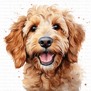 Goldendoodle Clipart | 10 hochwertige JPGs | Digitaler Download | Digitales Papiermodell | Junk Journal | Groodle | Druckbares Aquarell Clipart