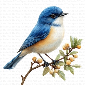 Clipart di uccelli blu di Delft / 10 JPG di alta qualità / Download digitale / Illustrazione vintage / Clipart di uccelli / Artigianato di carta digitale / Piastrelle olandesi