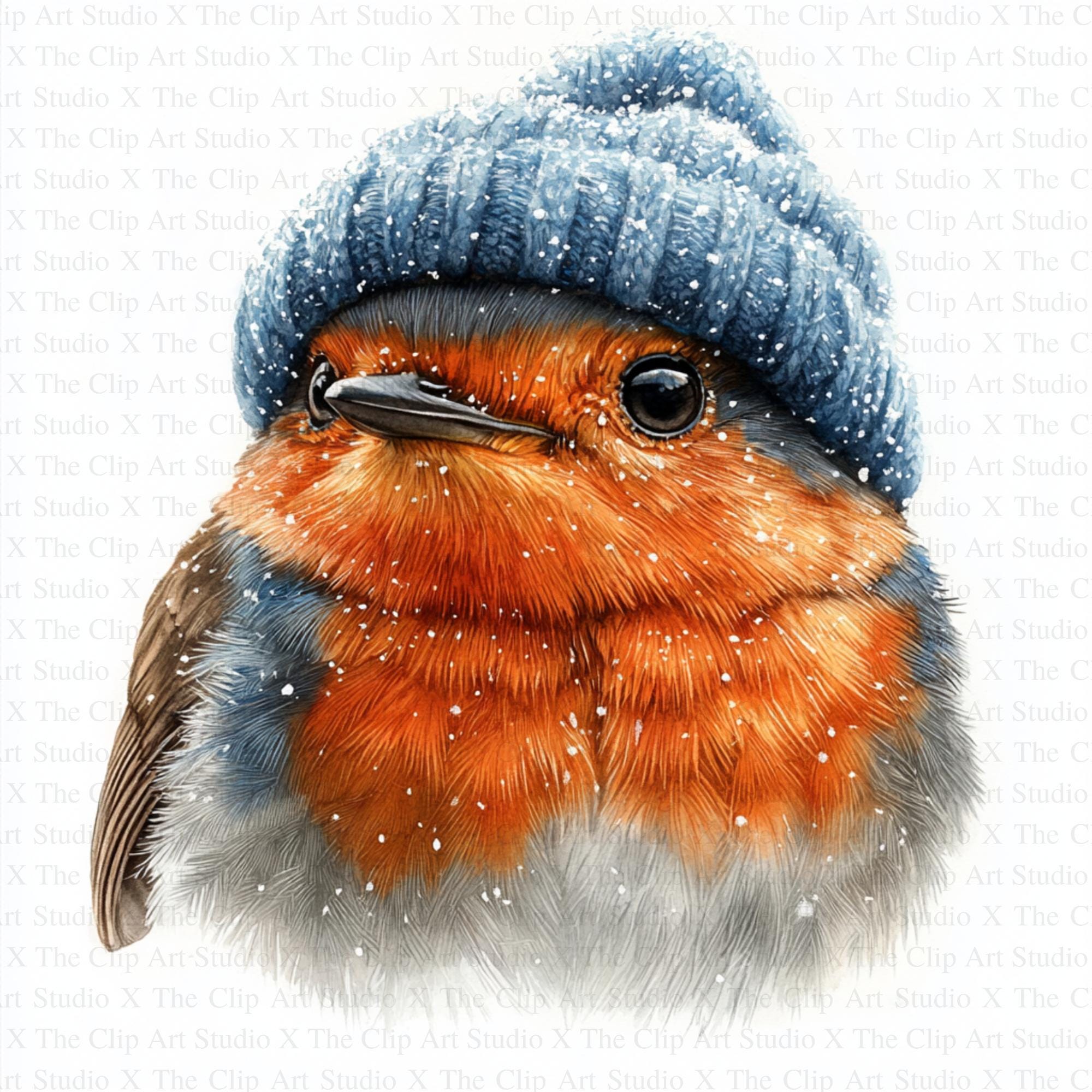 Robin in Wool Hat Clipart | 10 High Quality Jpgs | Digital Download ...