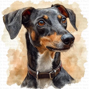 Clipart Lévrier | 10 fichiers JPG de haute qualité | Téléchargement numérique | Art pour chambre d'enfant | Fabrication de cartes | Clipart chien mignon | Créations numériques en papier | Clipart