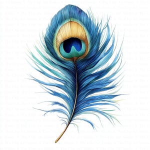 Peacock Feather Clipart | 10 High Quality JPGs | Digital Download | Gorgeous Peacock | Watercolor Clipart | Paper Craft | Junk Journal | Art