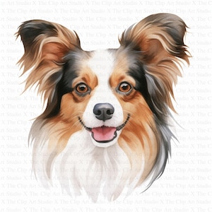 Clipart de Papillon / 10 archivos JPG de alta calidad / Descarga digital / Planificador digital / Papillon de acuarela / Creación de tarjetas / Diario / Scrapbooking
