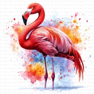 Flamingo Clipart | 10 High Quality JPGs | Digital Download | Card Making | Clip Art | Flamingo Print | Digital Paper Craft | Nursery Art