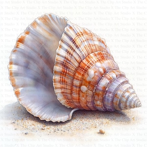 Seashells Clipart | 10 High Quality JPGs | Digital download | Junk Journal | Paper Craft | Seashell Clipart | Printable Watercolor Clipart