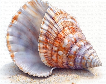 Seashells Clipart | 10 High Quality JPGs | Digital download | Junk Journal | Paper Craft | Seashell Clipart | Printable Watercolor Clipart